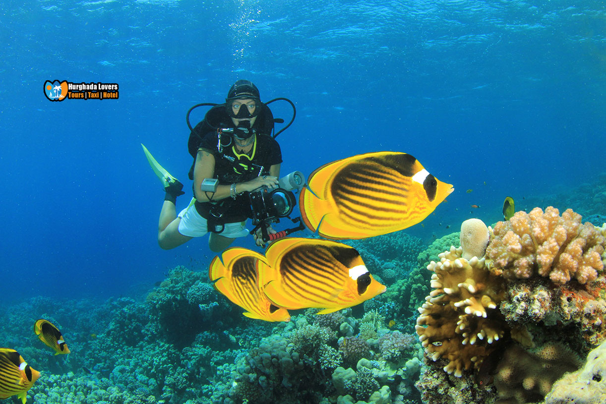 Diving Center Hurghada Egypt Booking Luxury Full Day Scuba