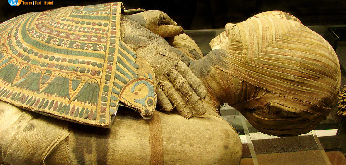 متحف التحنيط في الاقصر مصر | اكتشف تاريخ مصر القديم وأسرار التحنيط عند الفراعنة للمومياء في الحضارة الفرعونية