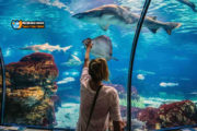 Boek nu zeer voordelig u tickets en transfer om het Grand Aquarium