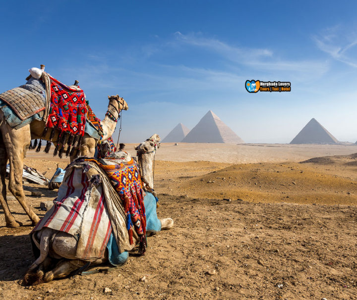 Cairo Tours from Hurghada Booking Cheap Prices Egypt Pyramids Tour