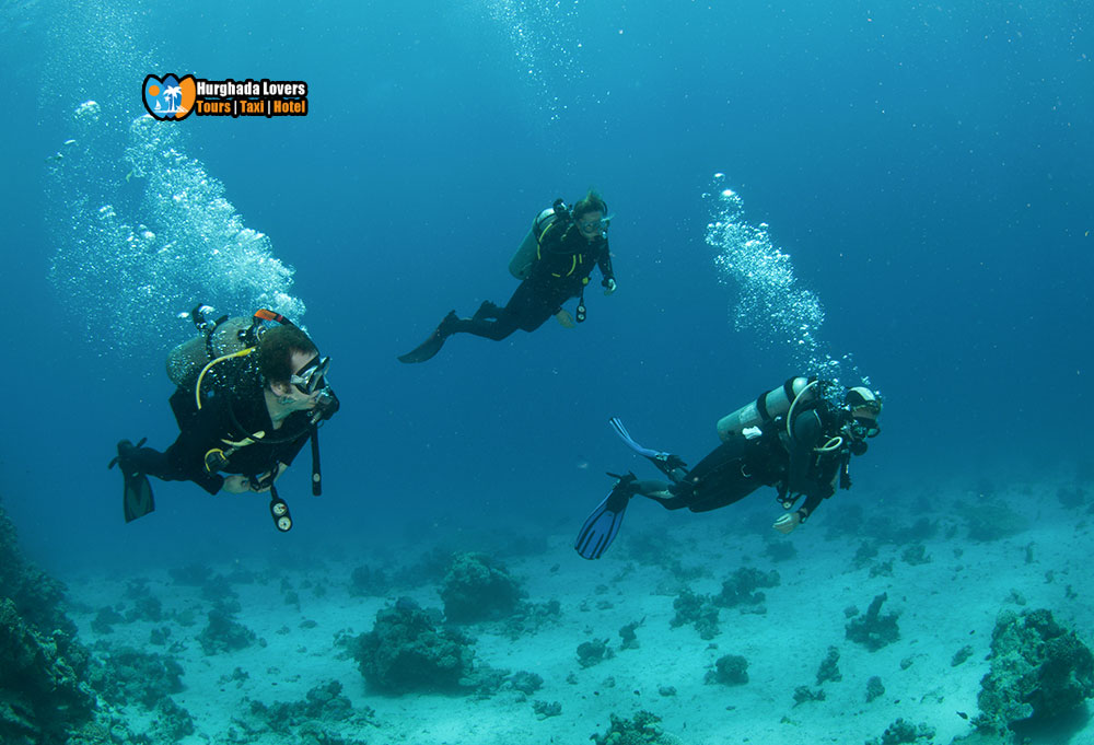 Diving Center in Makadi Bay Egypt Booking Luxury Scuba Diving Tour