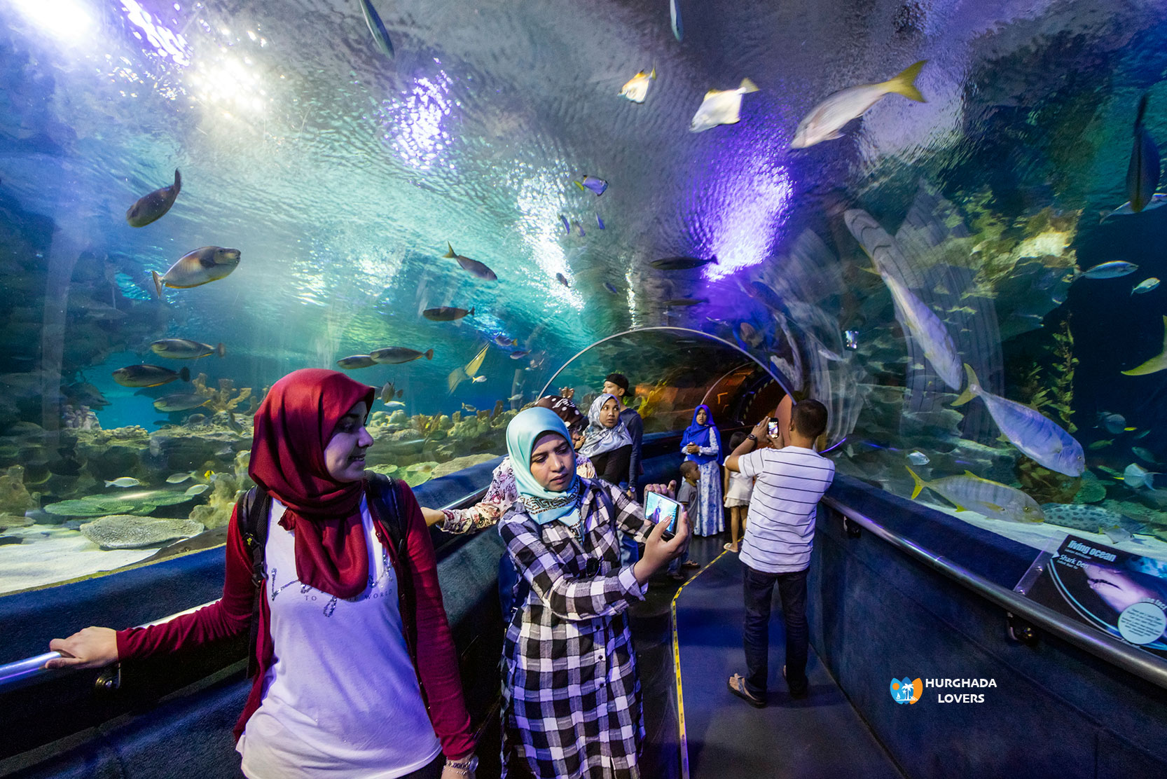 Grand Aquarium Museum for Aquarium in Hurghada