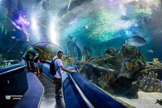 Grand Aquarium Tour from El Gouna