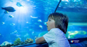 Grand Aquarium Tour from Makadi bay