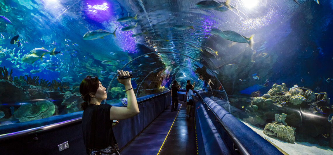 Grand Aquarium Tour from Soma bay Großes Aquarium von Hurghada Ägypten - Eine Welt unter Wasser