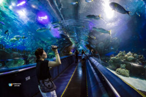 Grand Aquarium Tour from Soma bay