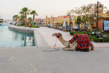 Hurghada City Tour from Soma bay Privater Hurghada Stadtrundfahrt Ausflug