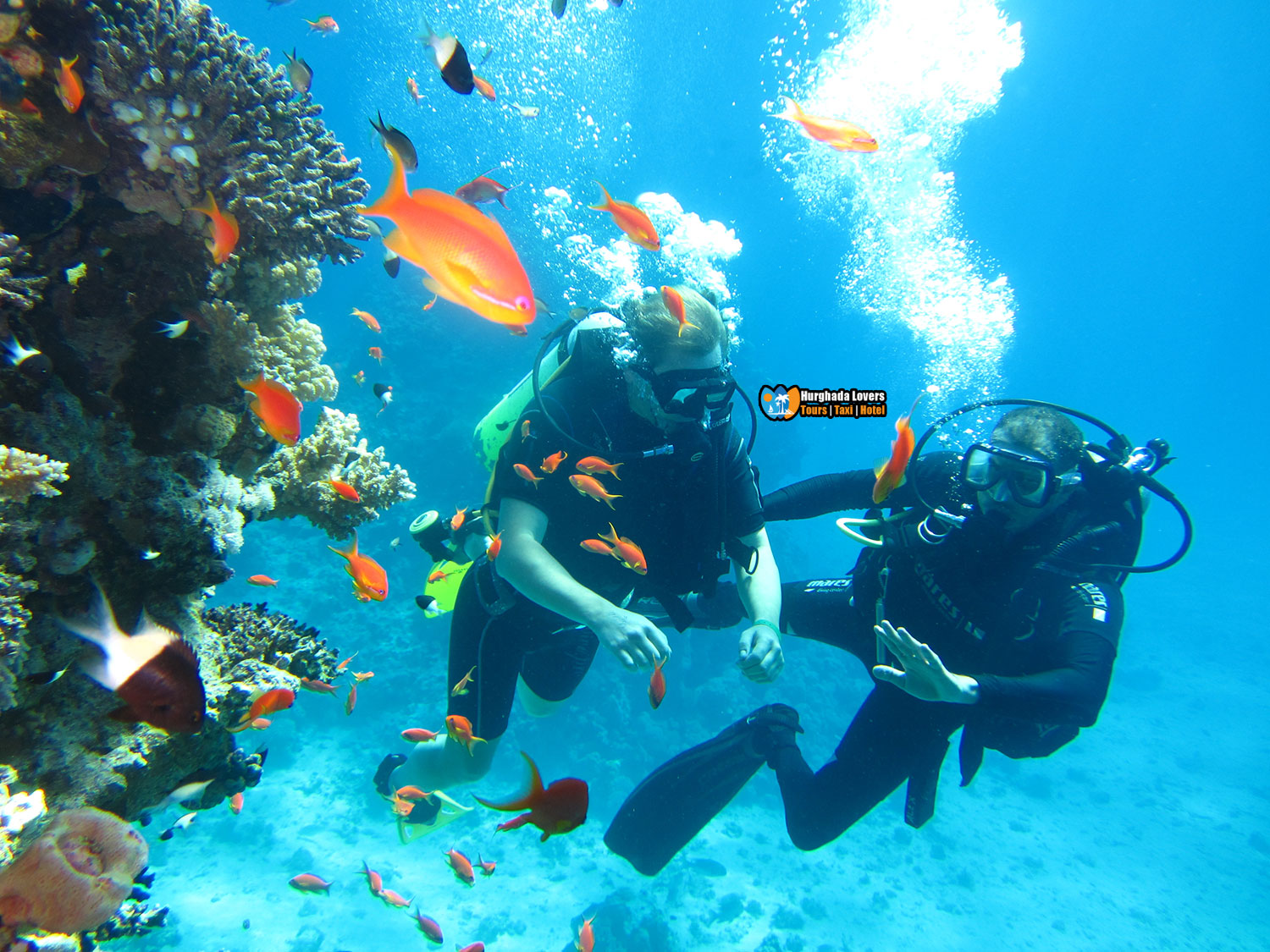 Scuba Diving Hurghada Egypt Booking Cheap Prices Intro