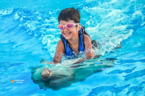 Swimming with Dolphins in Pool Kids