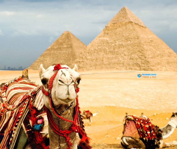 Cairo Tours from Hurghada Booking Cheap Prices Egypt Pyramids Tour