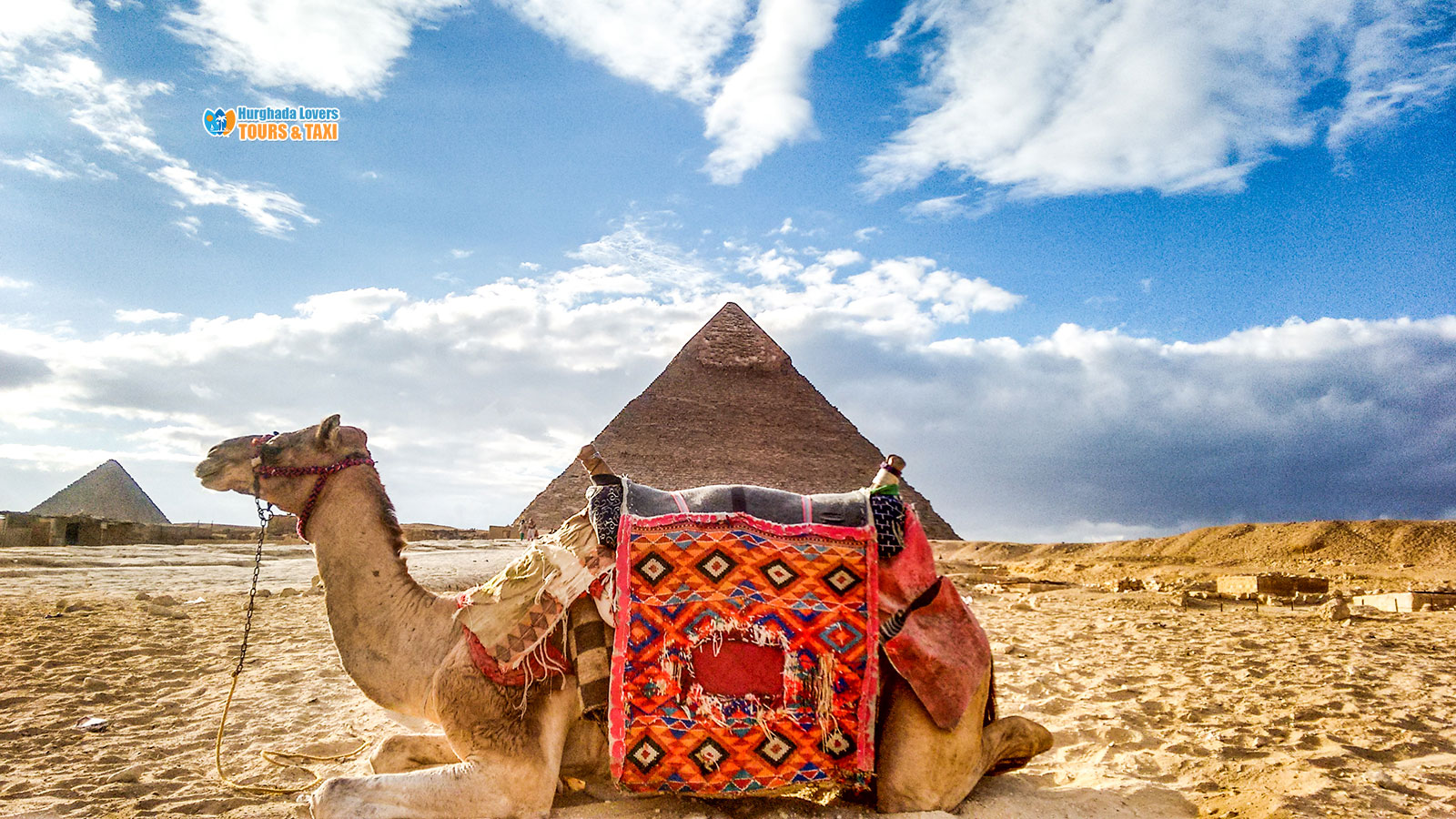 excursions from sharm el sheikh to cairo