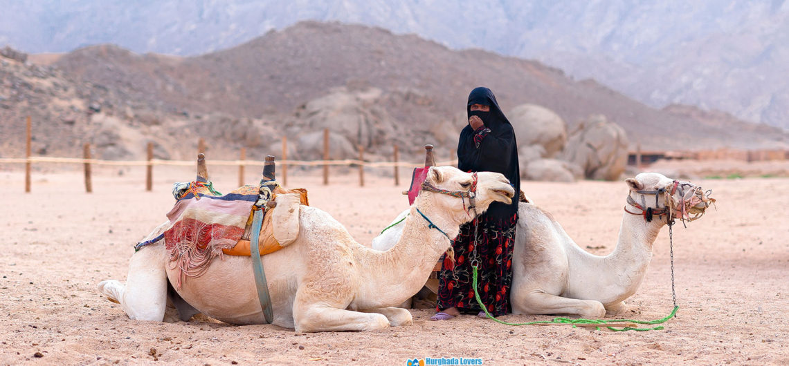 Beduinenleben in Ägypten Wüste & Traditionen Essen der Beduinen, Beduinentraditionen