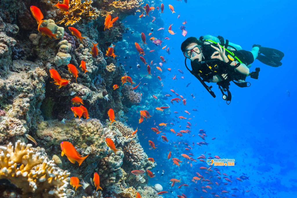 Scuba Diving Terms | Discover Dive Speak and how Learn Terms