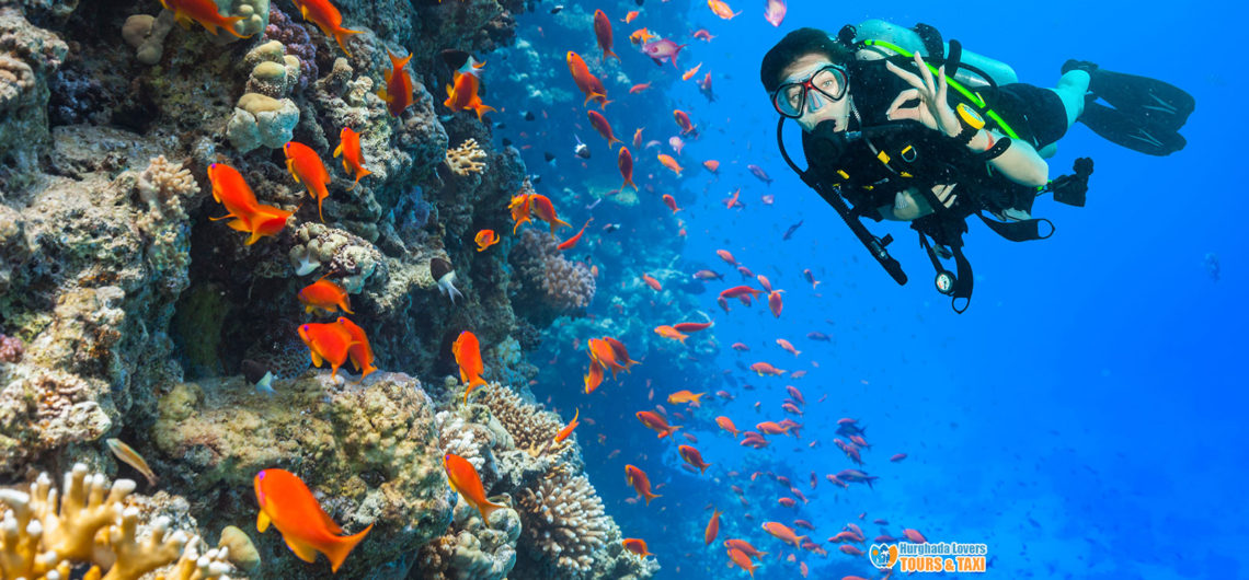 Scuba Diving Terms Discover Dive Speak and how Learn Terms