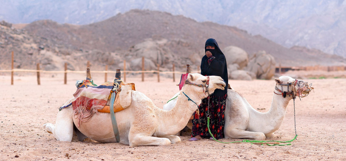 حياة البدو في الصحراء المصرية | اكتشف ما هو غذاء, تقاليد القبائل البدوية