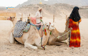 Bedouins Of Egypt | Traditions And Culture In Bedouin Village