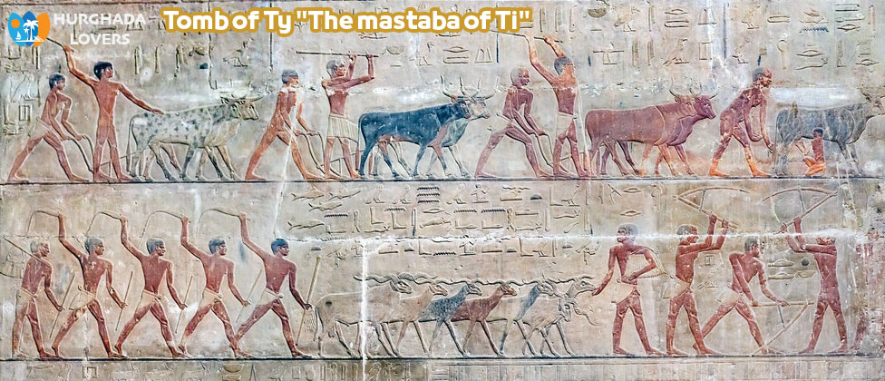 Tomb of Ty "The mastaba of Ti" in Saqqara, Giza Egypt | History Building Pharaonic Tombs