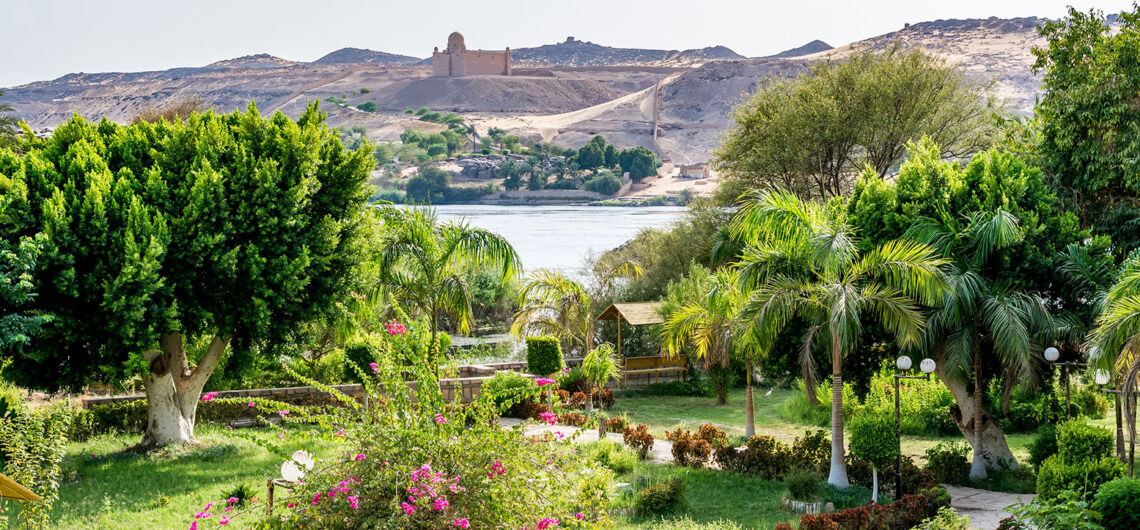 جزيرة النباتات في أسوان مصر | حقائق وتاريخ انشاء أقدم الحدائق في العالم والمعروفة باسم حديقة أسوان النباتية