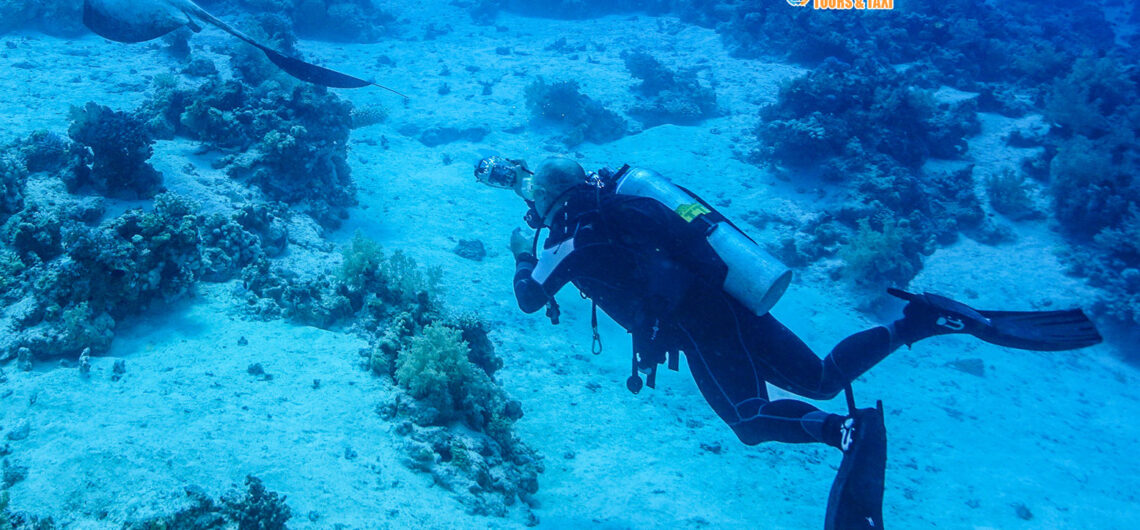 جزيرة تيران في شرم الشيخ مصر | حقائق أجمل مناطق الشعاب المرجانية النادرة العملاقة