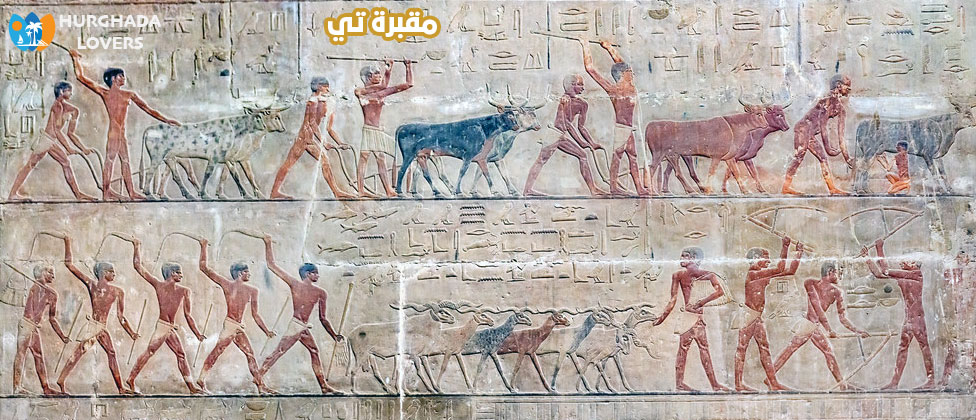مقبرة تي في سقارة الجيزة مصر | حقائق وتاريخ بناء المقابر الفرعونية