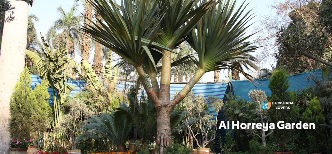 Al Horreya Garden in Zamalek, Giza, Egypt | Best Fun Activities, for children and families