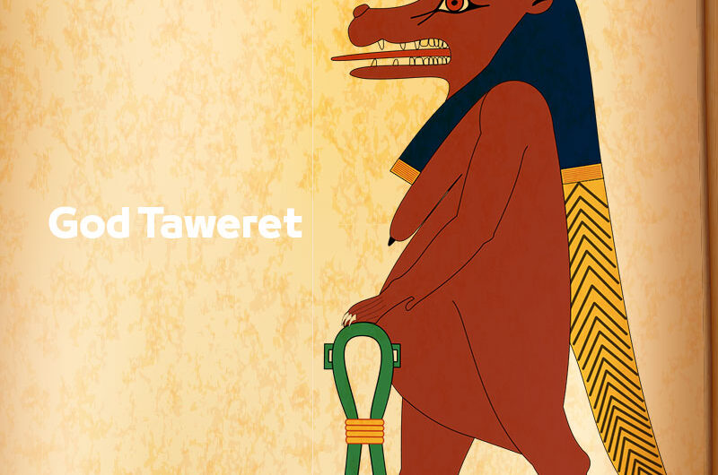 God Taweret | Facts Ancient Egyptian Gods and Goddesses | God of childbirth and fertility