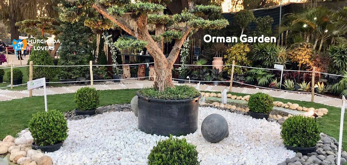 Orman Garden in Giza, Egypt | Best Activities for Children and Families in Cairo