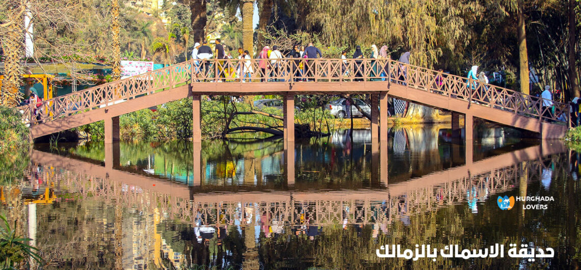 حديقة الاسماك بالزمالك في الجيزة مصر | أجمل أماكن فسح وخرجات القاهرة للعائلات والشباب