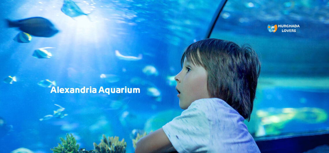 Alexandria Aquarium Egypt | Museum of Marine Life of Alexandria