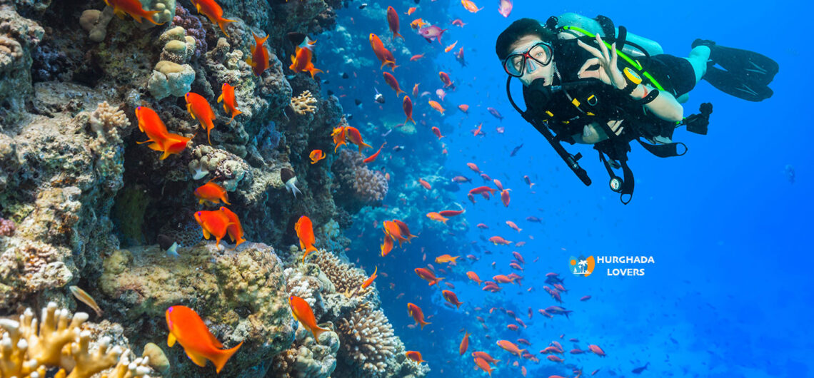 Best Dive Sites Hurghada, Egypt | Top 20 Diving Reefs, Dolphins Places, diver reefs for professional divers