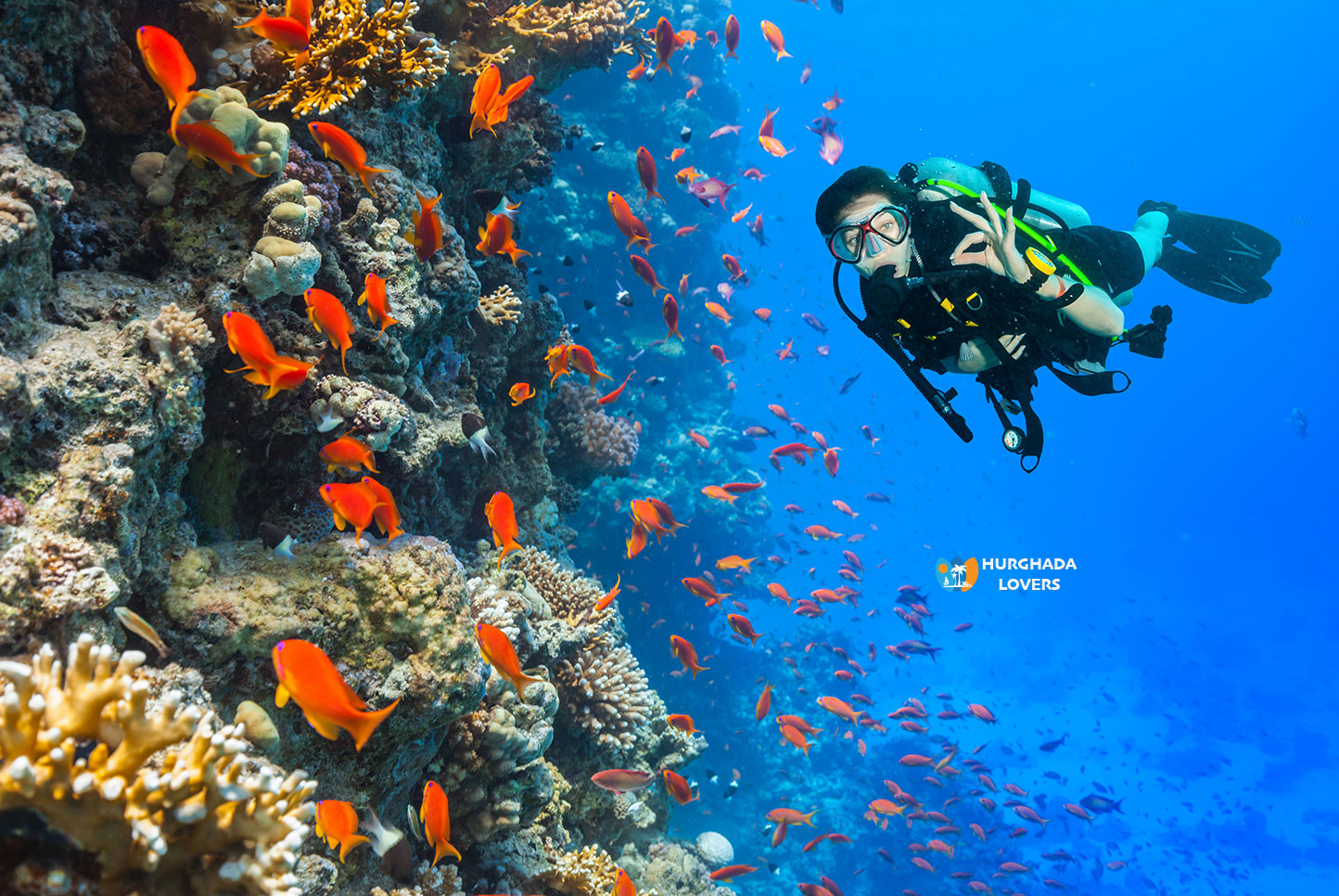 Best Dive Sites Hurghada Egypt Top 20 Diving Reefs Dolphins