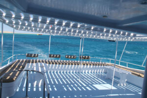 Big Game Fishing Awaits