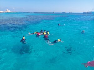 Delfin Tour Soma bay