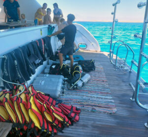 Hurghada Diving Course 2025