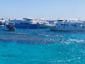 Paradise Insel Soma bay Schnorcheln Ausflug