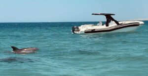 Private Sahl Hasheesh Speed boat