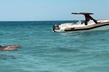 Private Sahl Hasheesh Speed boat