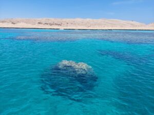 Snorkeling Boat Trip from Hurghada