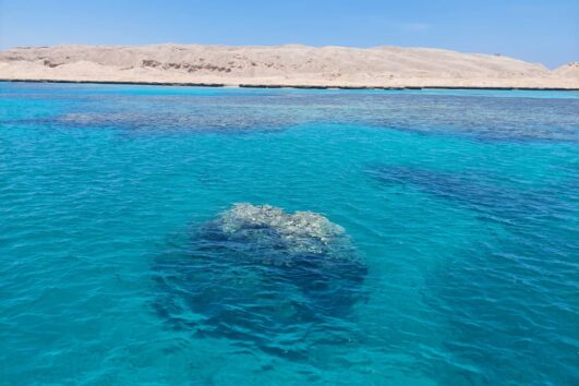 Snorkeling Boat Trip from Soma bay with Water Sports and Lunch