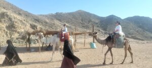 Super Jeep Safari Trip from Soma bay Private Makadi bay Jeep Safari Tour