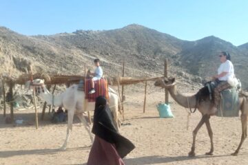 Super Jeep Safari Trip from Soma bay Private Makadi bay Jeep Safari Tour