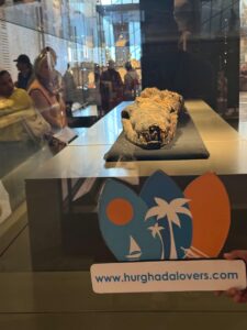 El Gouna to Grand Egyptian Museum Tour