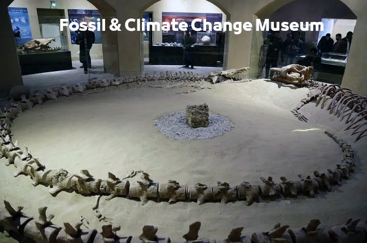 Fossil & Climate Change Museum in Fayoum Egypt | Museums in Fayoum متحف الحفريات وتغير المناخ