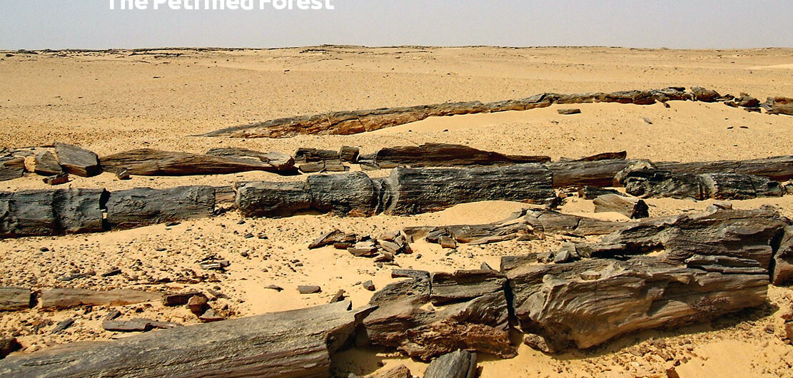 The Petrified Forest in Fayum Egypt | Best Activities and Places to Visit in Fayum الغابة المتحجرة
