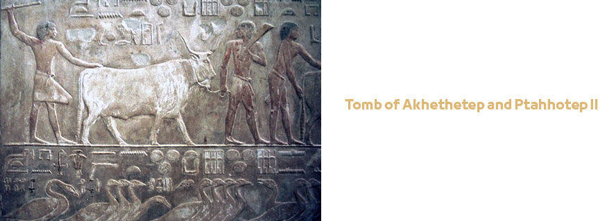 Tomb of Akhethetep and Ptahhotep II in Saqqara Egypt - Mastaba D64 | Egyptian Tombs