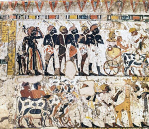 Tomb of Amenhotep in Saqqara Giza, Egypt