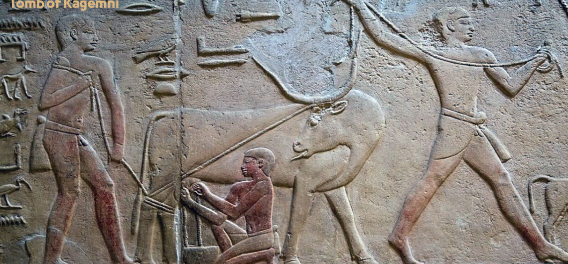 Tomb of Kagemni "Memi" in Saqqara Egypt | Egyptian Tombs