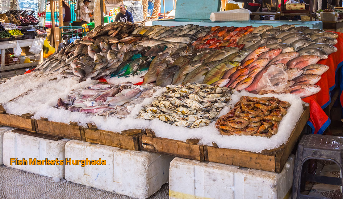 Fish Markets in Hurghada Egypt Top Activities and Places to Visit