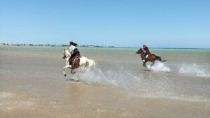 Best Horse stable Egypt with Transfer Hurghada Horse Riding Beach