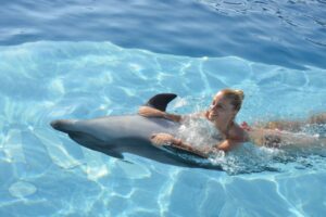 Dolphin Show Hurghada Tour All Inclusive